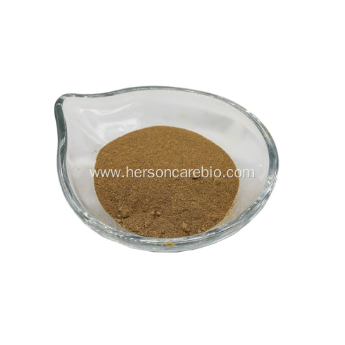 Natural Dandelion Extract Powder